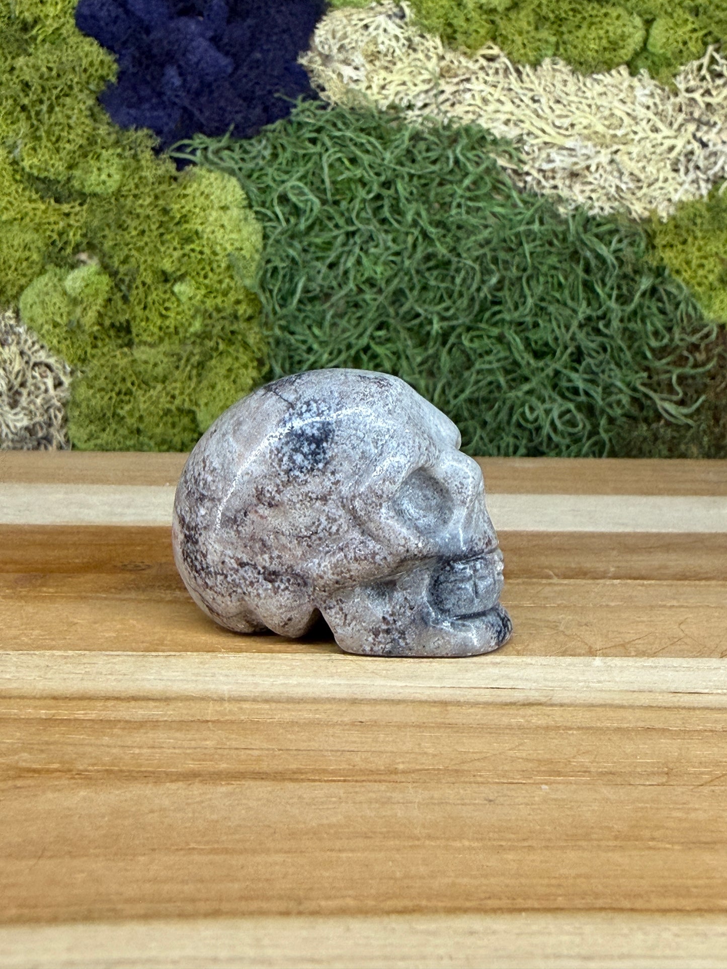 JASPER SKULL