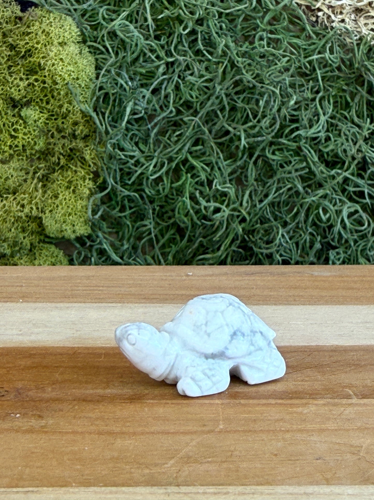 HOWLITE TURTLE