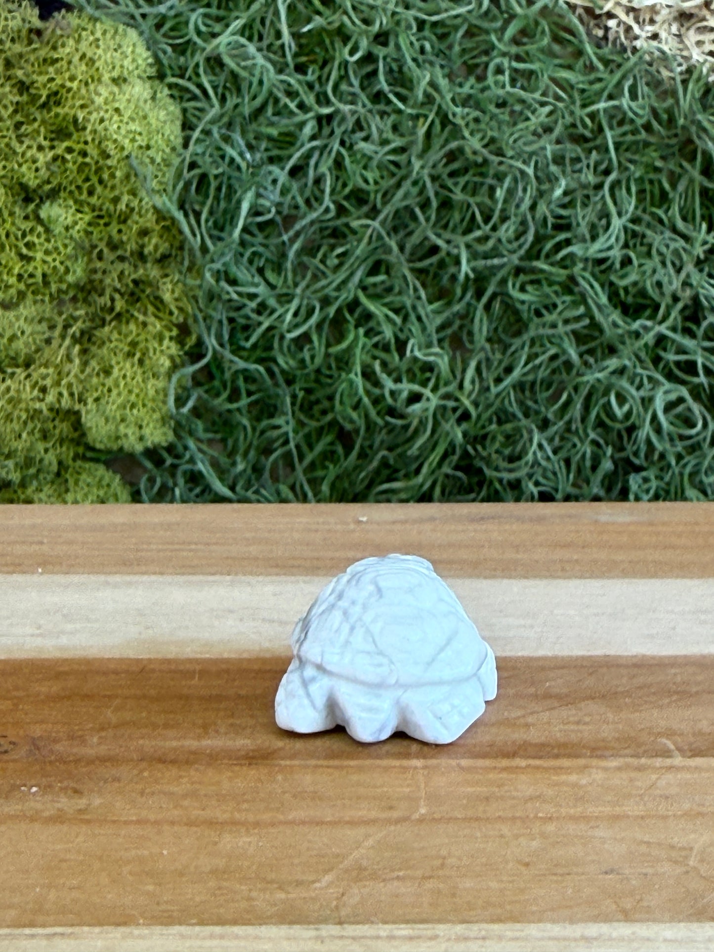 HOWLITE TURTLE