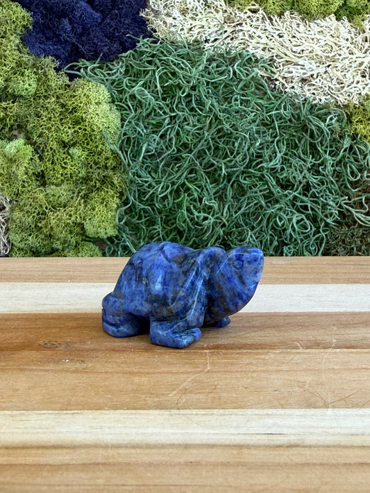 SODALITE TURTLE