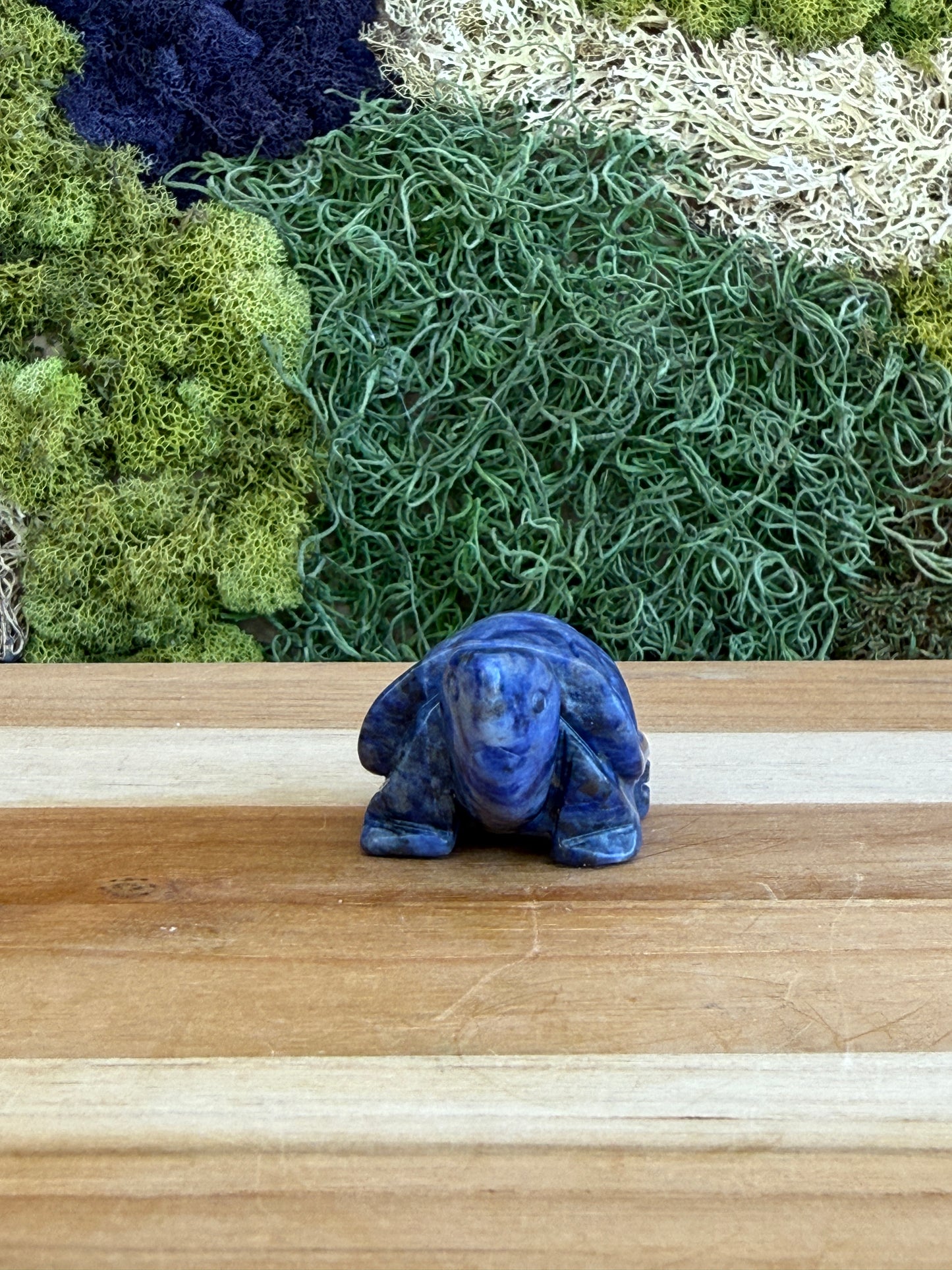 SODALITE TURTLE