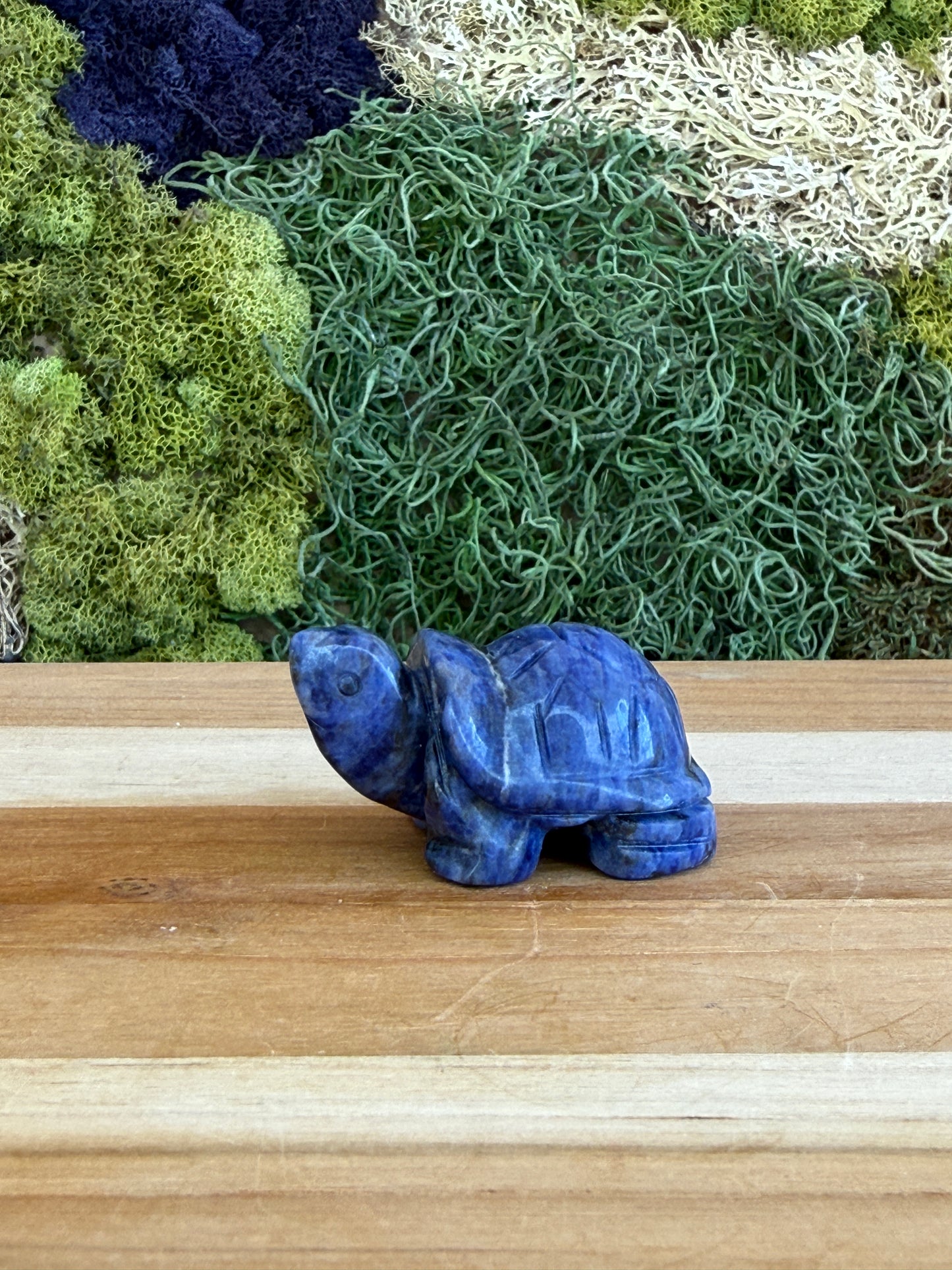 SODALITE TURTLE