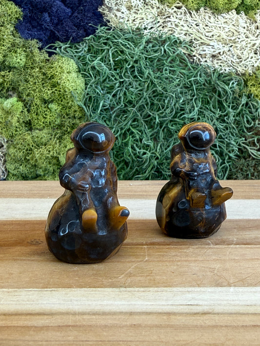 TIGERS EYE ASTRONAUT ON MOON
