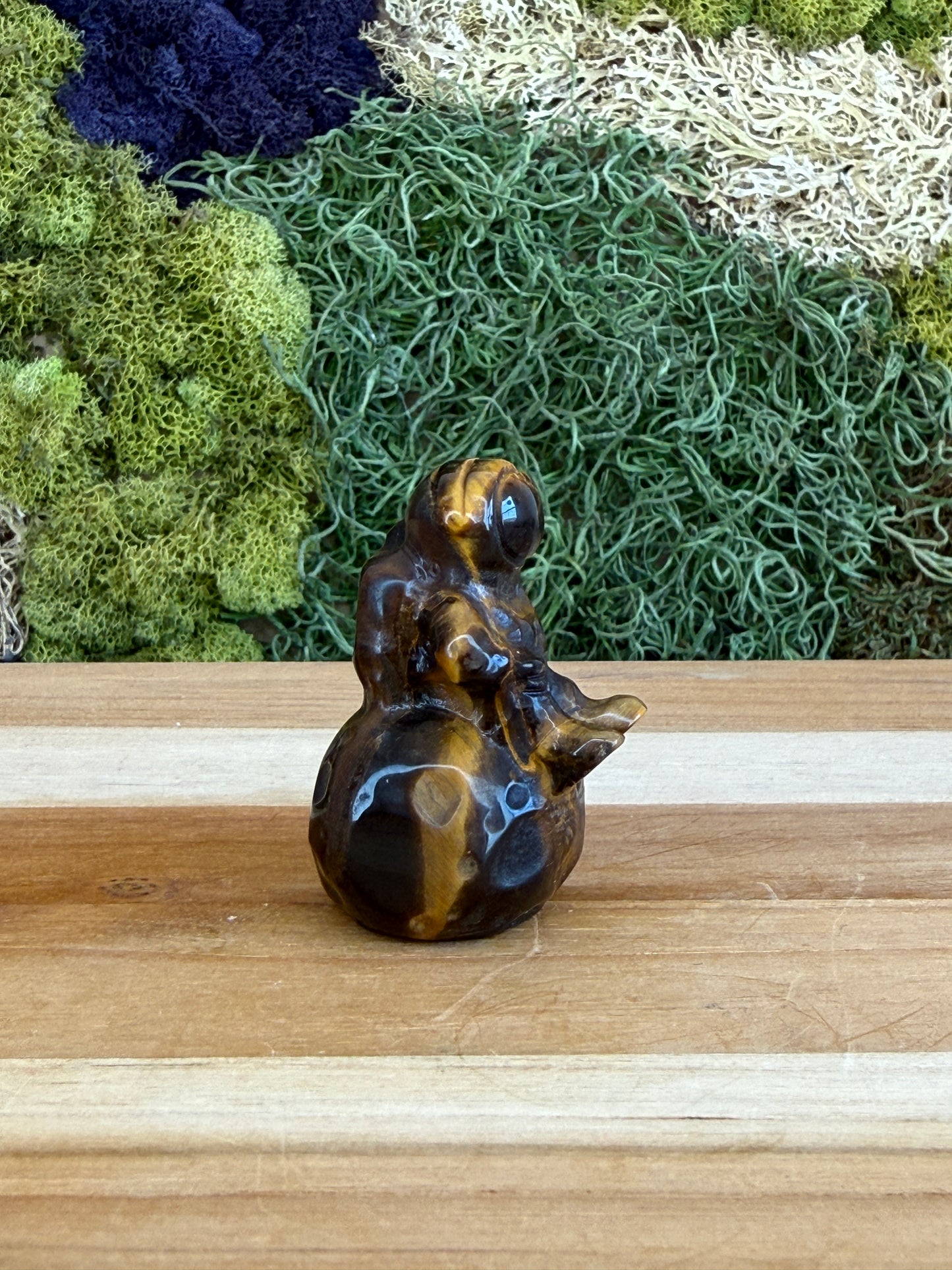 TIGERS EYE ASTRONAUT ON MOON