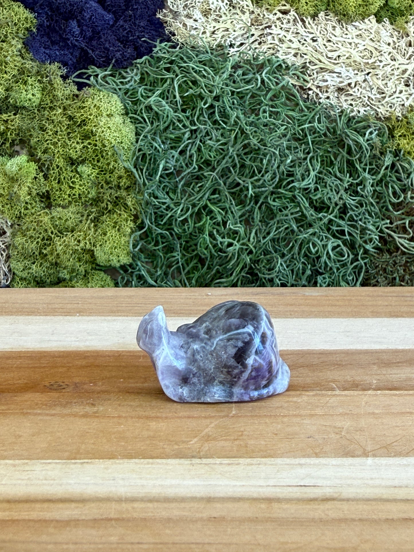 AMETHYST SNAIL