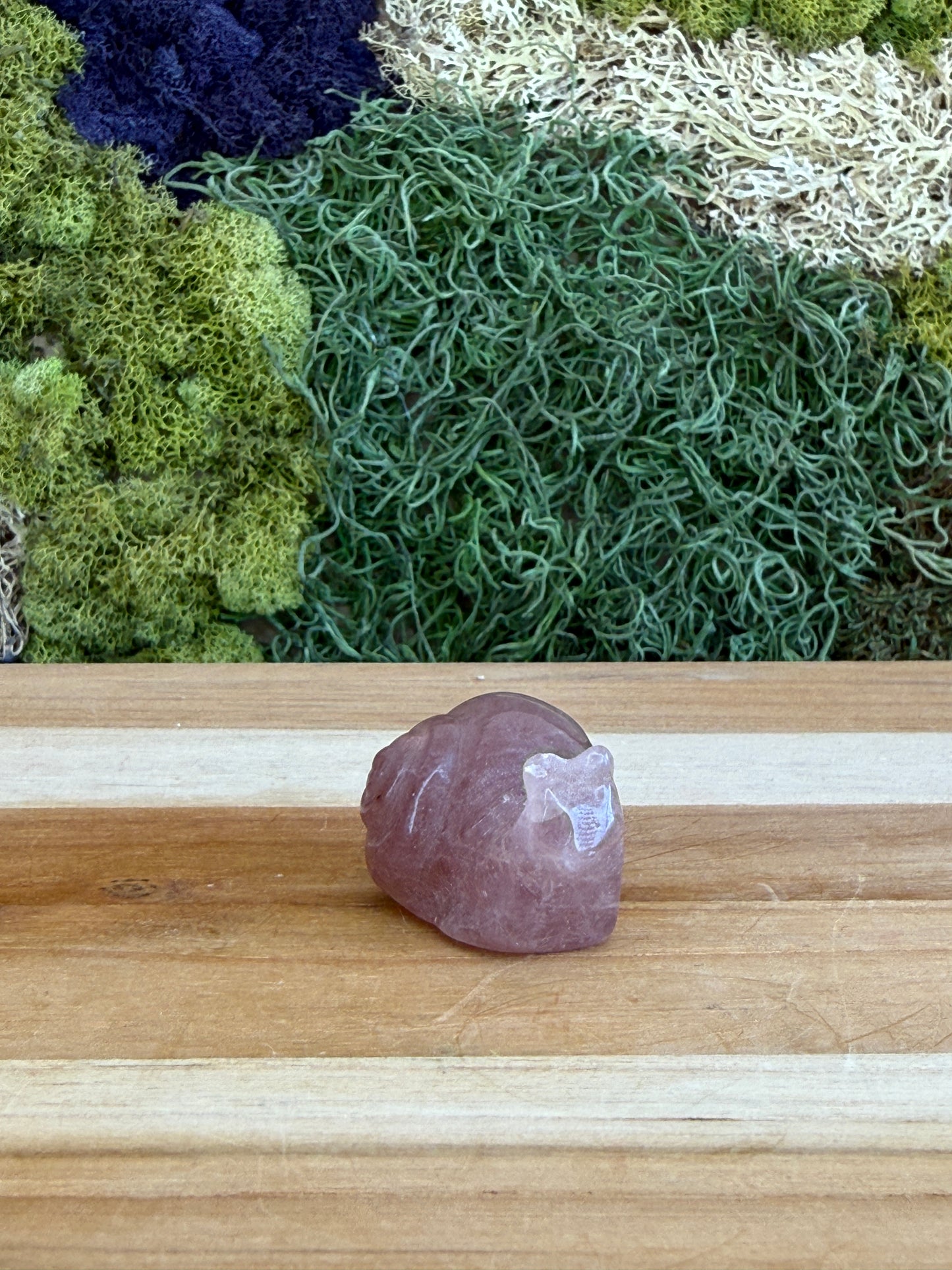 STRAWBERRY QUARTZ SNAIL