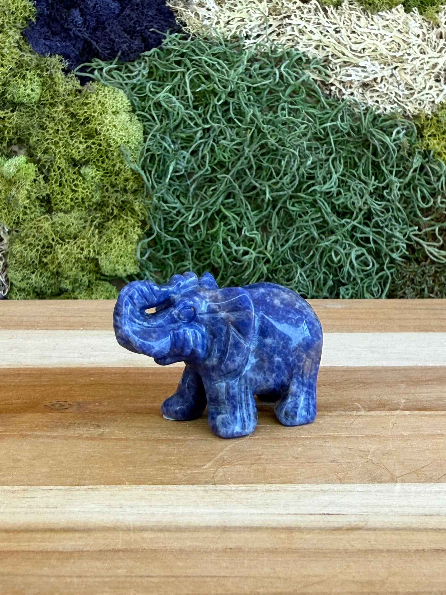 SODALITE ELEPHANT
