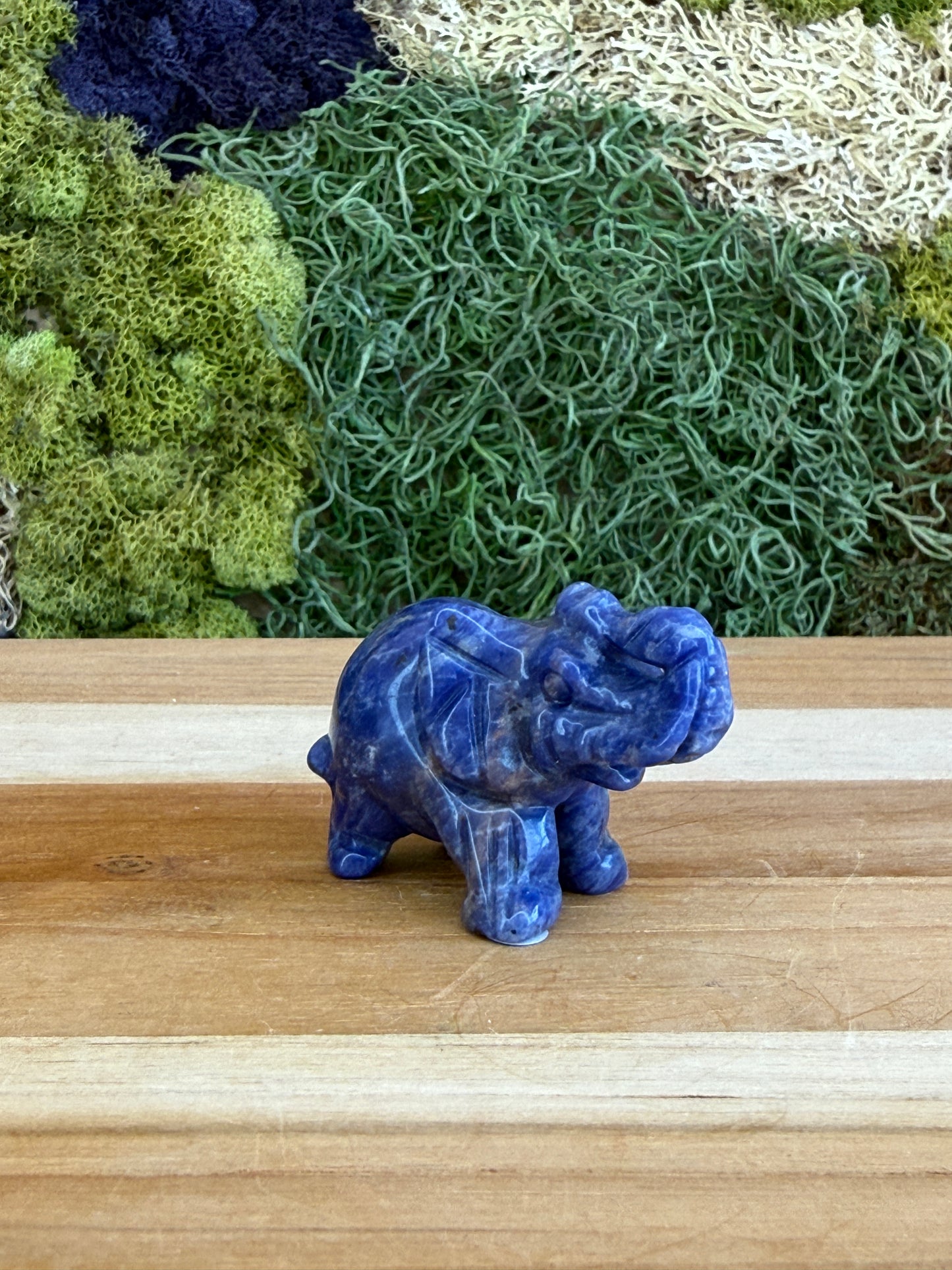 SODALITE ELEPHANT