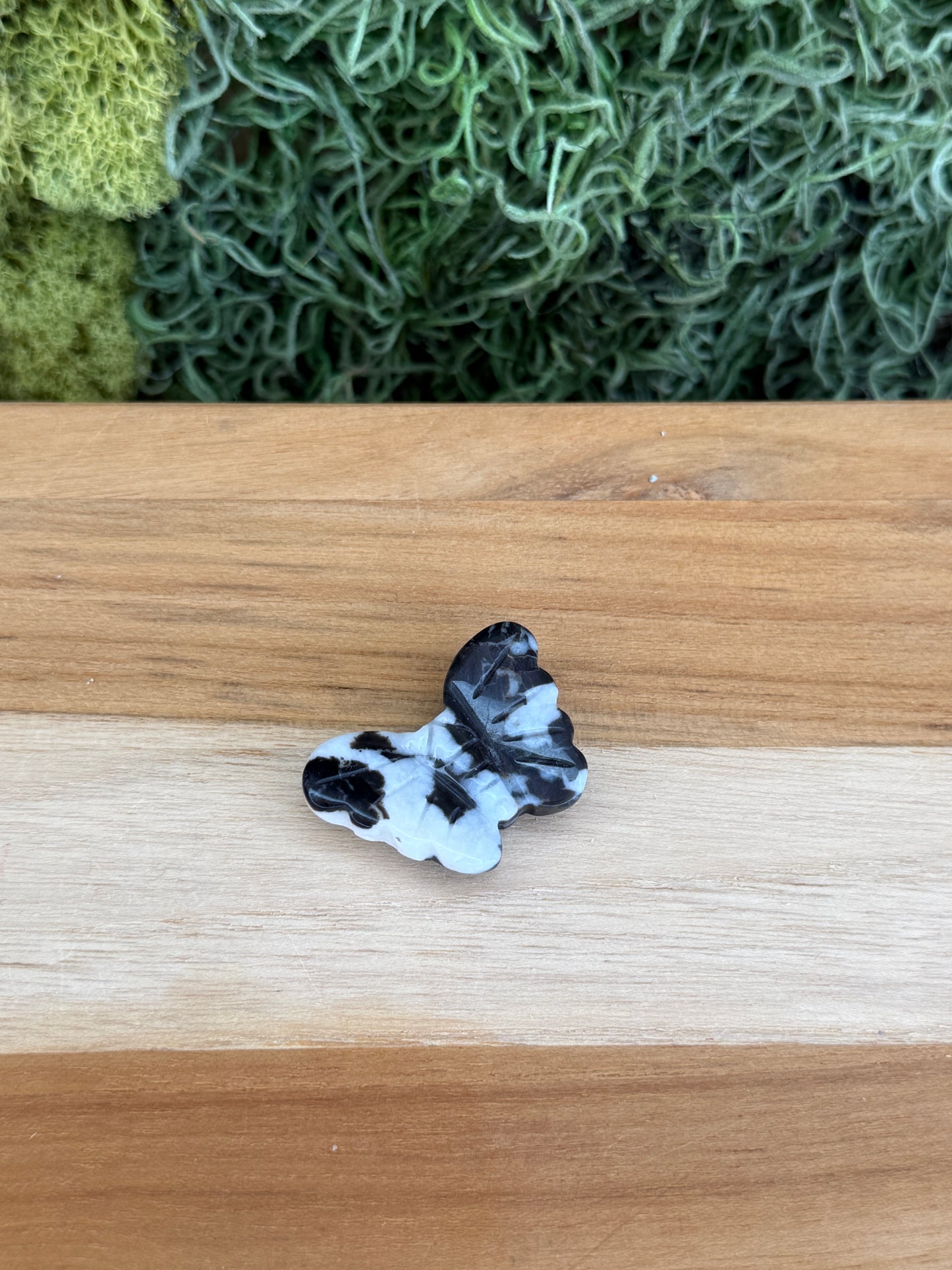 ZEBRA JASPER BUTTERFLY