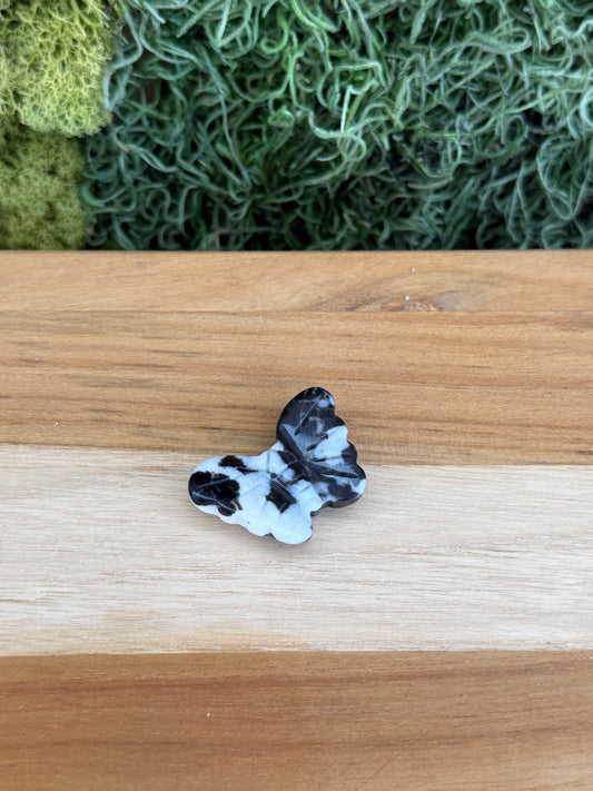 ZEBRA JASPER BUTTERFLY