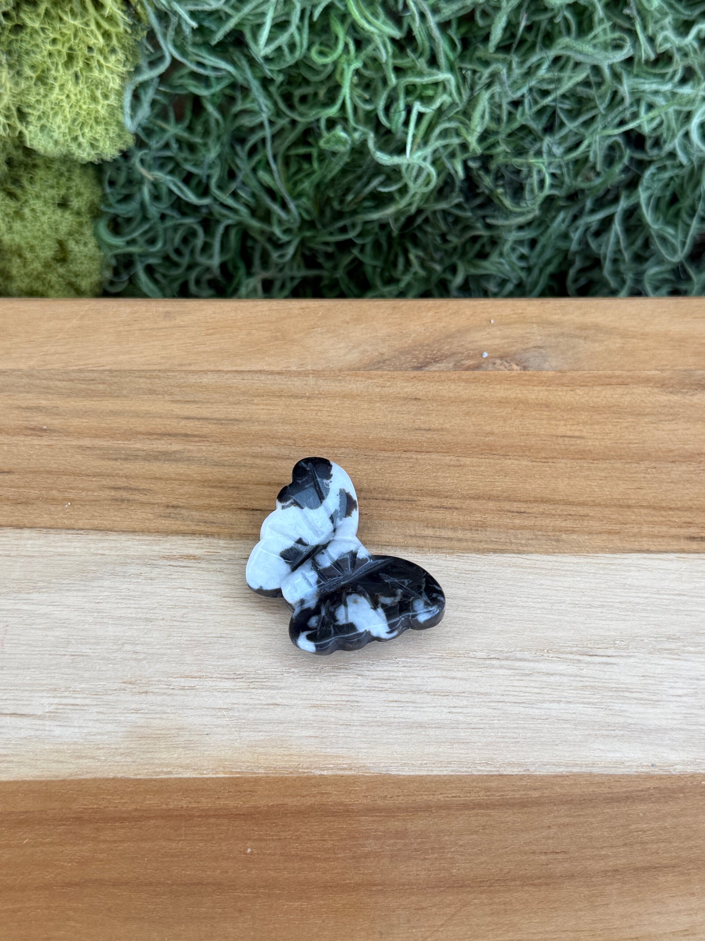 ZEBRA JASPER BUTTERFLY