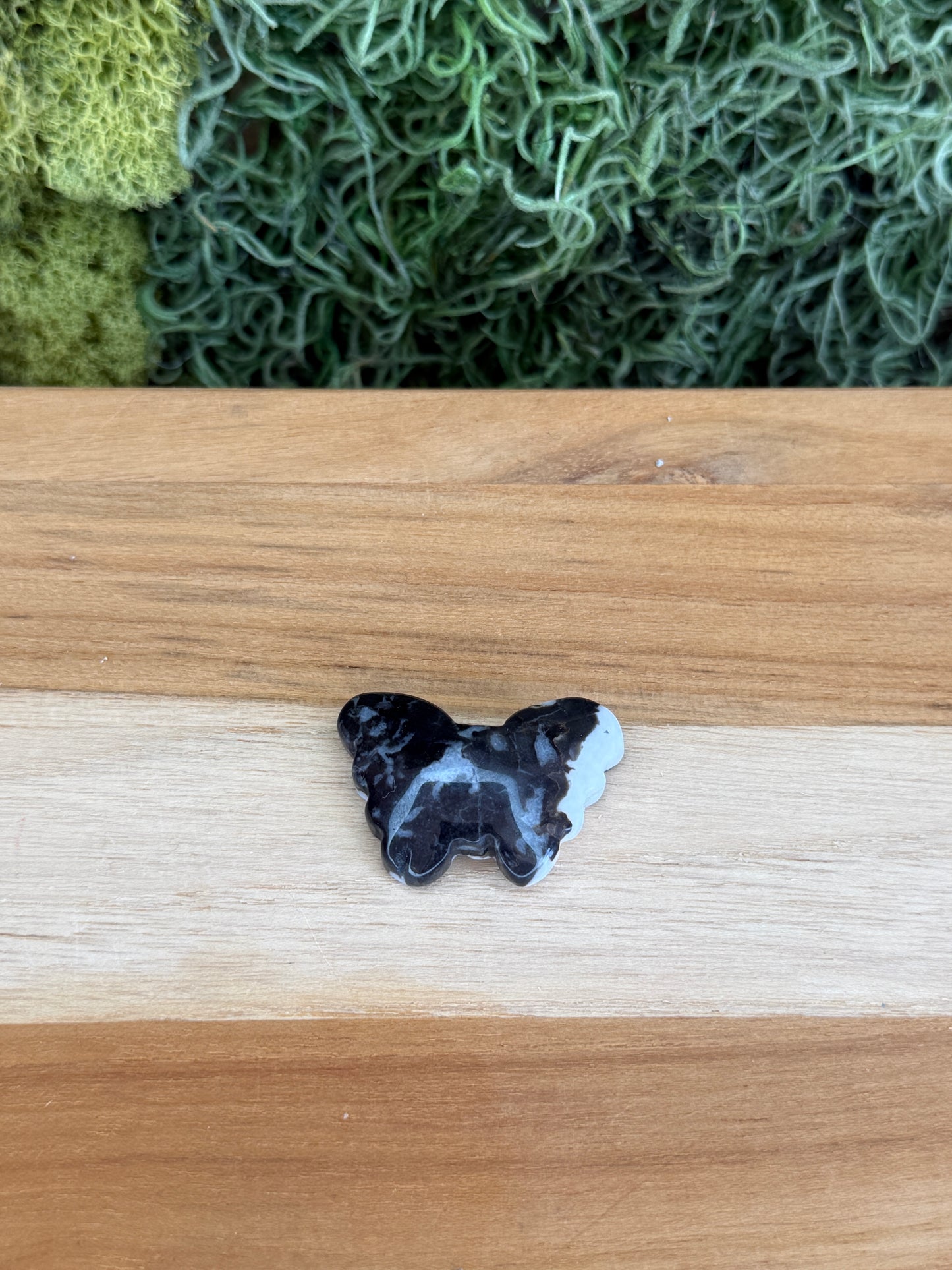 ZEBRA JASPER BUTTERFLY