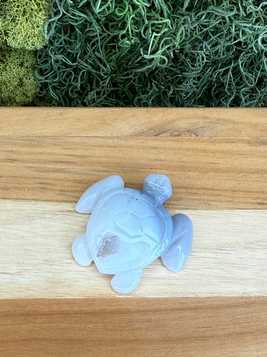 AGATE OCEAN TURTLE WITH DRUZY
