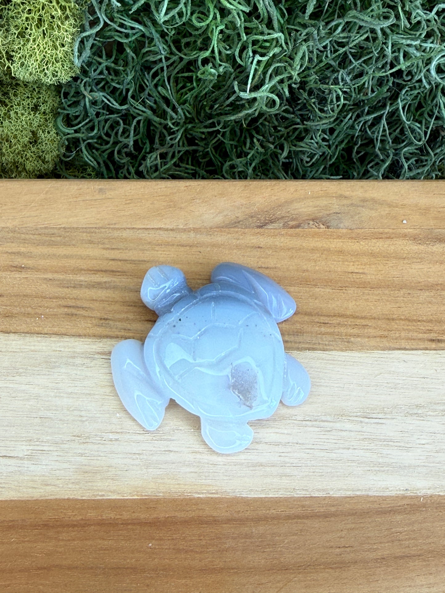 AGATE OCEAN TURTLE WITH DRUZY