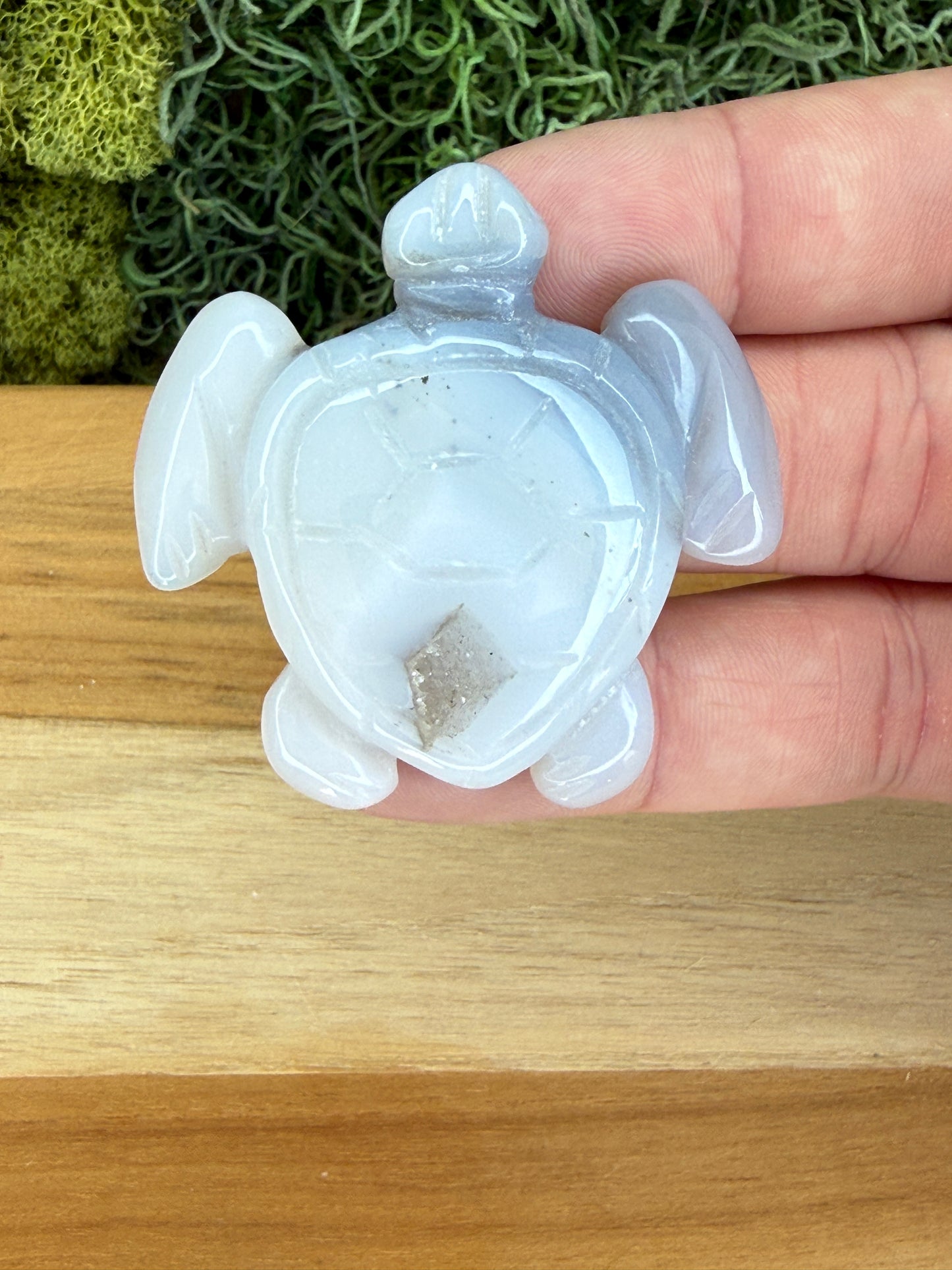 AGATE OCEAN TURTLE WITH DRUZY