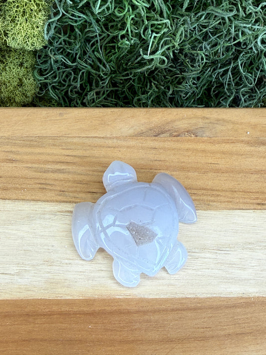 AGATE OCEAN TURTLE WITH DRUZY