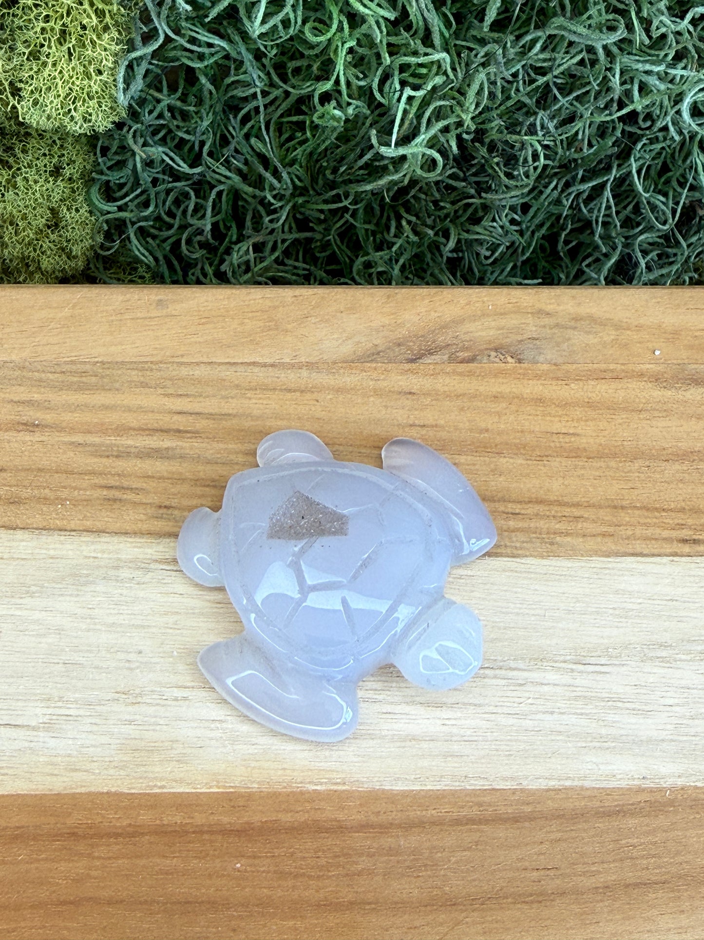 AGATE OCEAN TURTLE WITH DRUZY