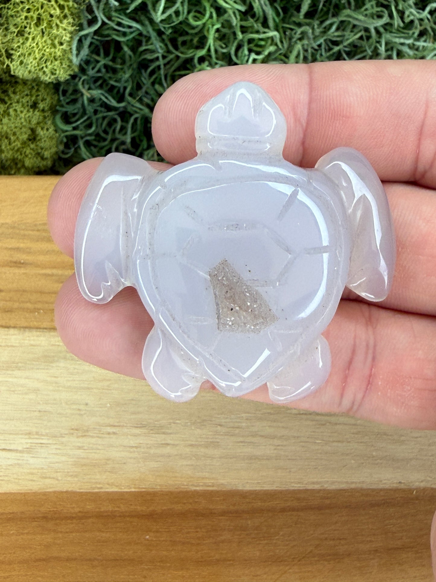 AGATE OCEAN TURTLE WITH DRUZY