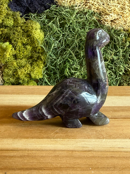 AMETHYST DINO XL