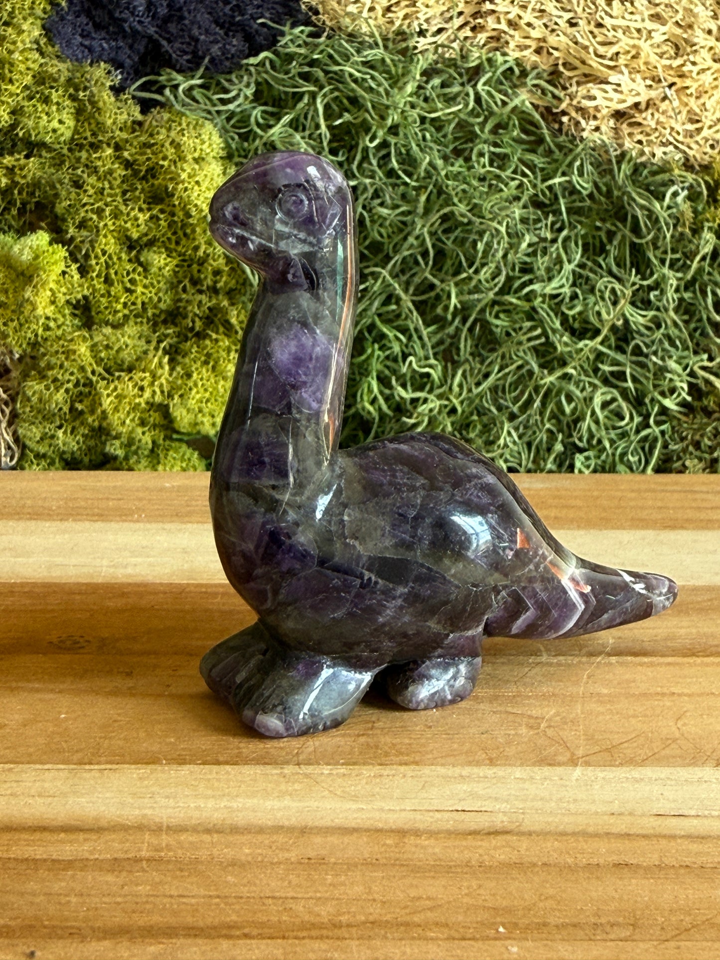 AMETHYST DINO XL