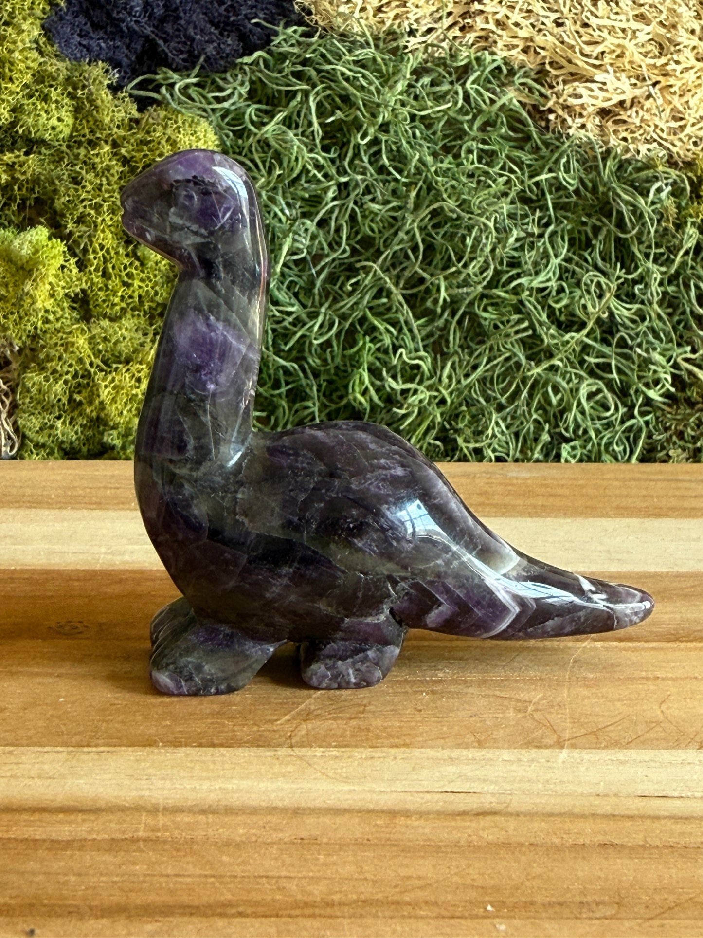 AMETHYST DINO XL