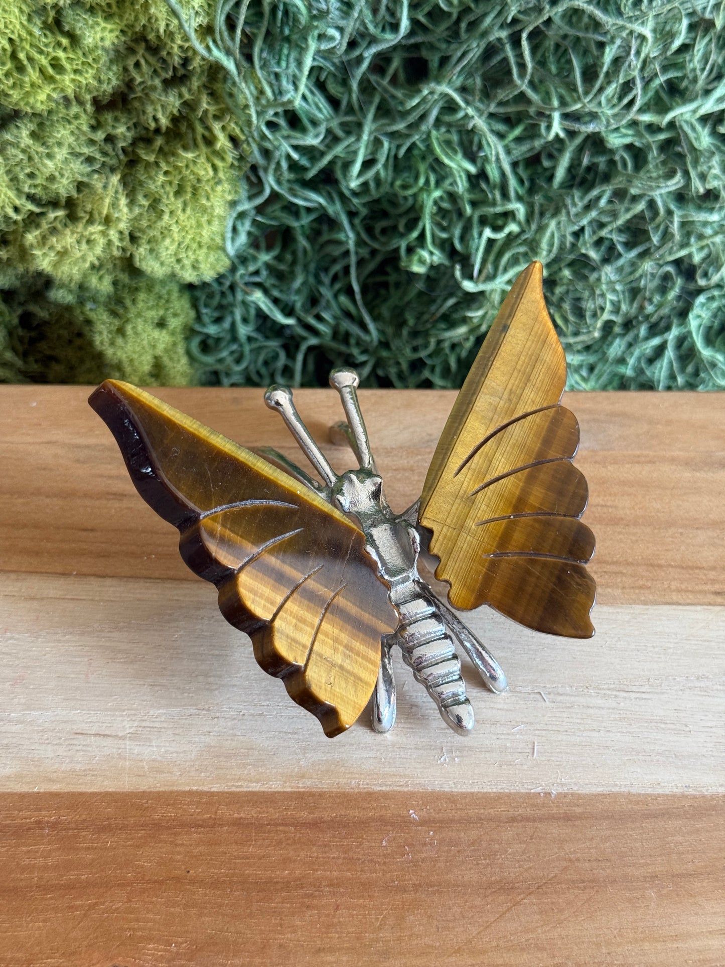 TIGERS EYE BUTTERFLY